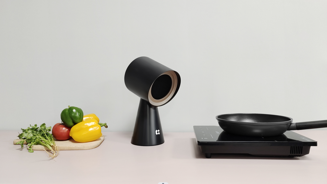 Everything You Need to Know About Portable Cooker Hoods